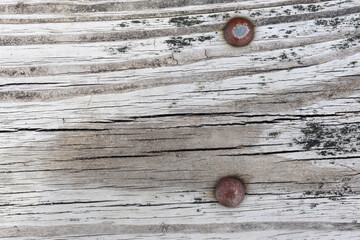Wood plank Texture from a park bench close up with rusty bolts