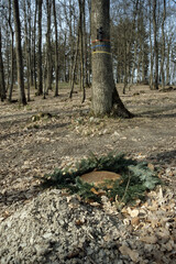Begräbnisplatz in einem friedwald