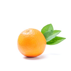 Orange fruit on white background