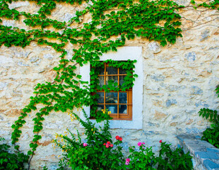 Fototapeta na wymiar Window in old house. Wall with plant