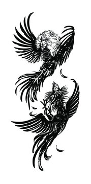 Rooster, black and white vector image. Cocks fighting. Rooster, cockfight, attack, fighter, black and white, game-cock
