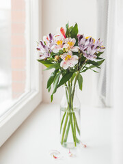Colorful Alstroemeria flowers in glass vase on window sill. Natural spring background with white and violet flowers.