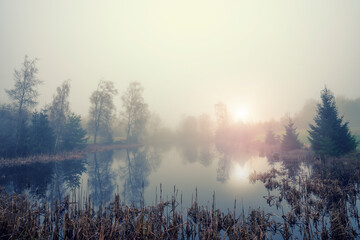 Morning fog over the lake
