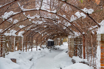 Fototapeta premium Snowbound garden house with wild grapes in a city park