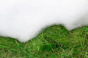 top view: green spring grass appeared from under the snow