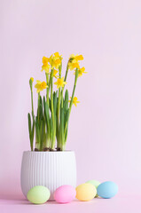 Obraz premium Easter eggs and garden flowers in a pot on the pastel pink background with copu space . Vertical .Gardening team. Happy Easter card .