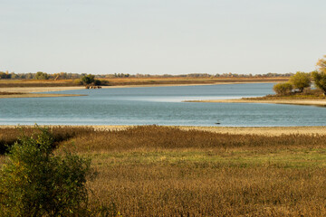 landscape with a river