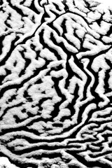 Melted ice texture background. Black and white blurred, creative shot of icy snow structure that looks like deserted mountains with rivers or sharpei dog skin. Vertical, contrast shot