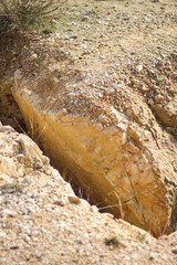 Breaking the ground. An old abandoned quarry.