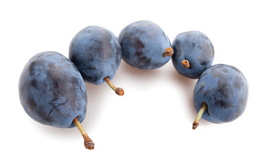 blue plums path isolated on white