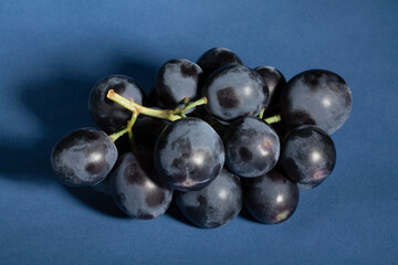 blue grape on blue background