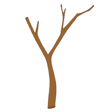 Part of a tree branch, a bare branch without leaves. Vector