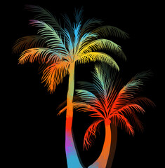 Fototapeta na wymiar abstract colorful vector palm tree. Hello summer. Mixed media. Vector illustration