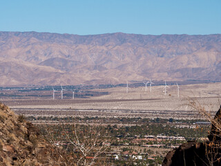 Palm Spring Windmills from Tahquitz Canyon