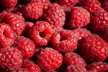 raspberry group macro detail closeup