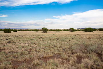 Idyllic desert in Arizona, USA