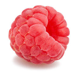 raspberry path isolated on white