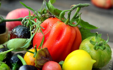 Fototapeta na wymiar Ripe bright and juicy tomatoes close-up, harvest of tomatoes.