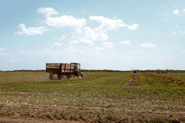 Fototapeta premium Scenic background with endless green agricultural grass hay field, blue cloudy summer sky and old tractor with wooden trailer driving at horizon at harvesting time 