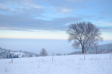 Fototapeta na wymiar Winter wonderland in Beskidy Mountains