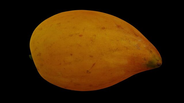 Realistic render of a rotating Canistel (Eggfruit, Tisa) on black background. The video is seamlessly looping, and the 3D object is scanned from a real canistel.
