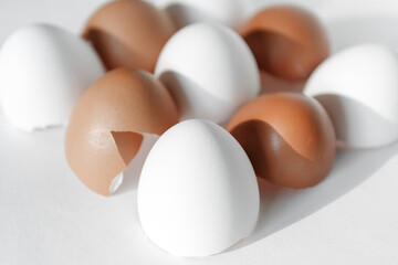 Cracked white and brown eggshells on a white background. Eggshells are broken in isolation