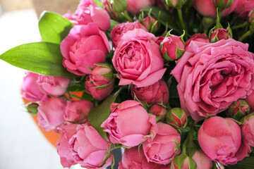 Fototapeta premium bouquet of pink roses