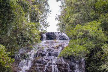 waterfall in the forest