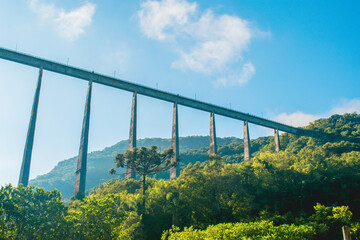 bridge over the river