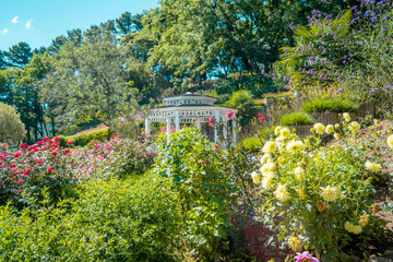 garden with flowers