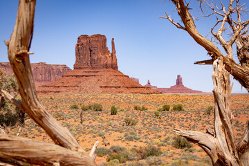 Desert Landscape of Monument Valley, West Thumb