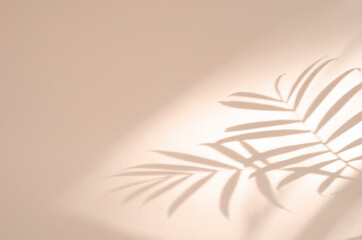 Botanical pink background with shadow of palm leaves. Ecology, nature, purity and authenticity mock up concept. Sunlight from the window
