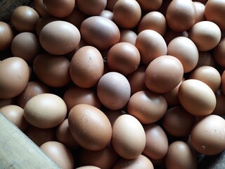 eggs on a black background, chicken eggs on a black background, tumpukan telur ayam dalam keranjang