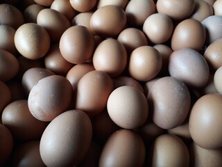eggs on a black background, chicken eggs on a black background, tumpukan telur ayam dalam keranjang