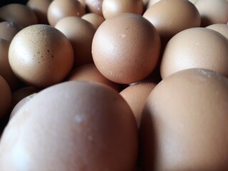 eggs on the table, chicken eggs on a black background, tumpukan telur ayam dalam keranjang