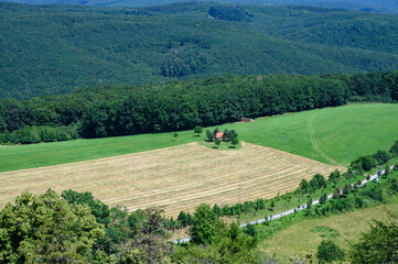 Mown part of a meadow with forest and house in the background.