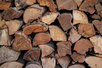 Stacked and split firewood logs, Appalachia, North Carolina