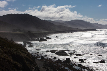 The Pacific Ocean meets the sunny, rugged shoreline of northern California. The scenic Pacific Coast Highway runs along much of the edge of California.