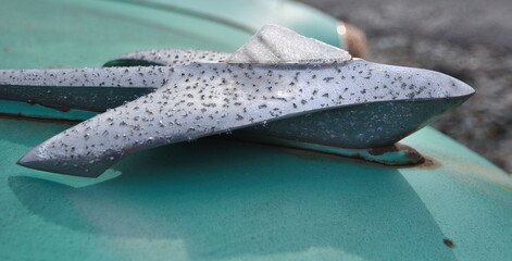 Car hood ornament 