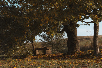 old house in autumn