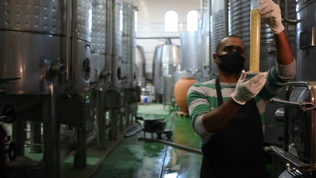 Male worker in protective masks check the quality of white wine at the winery