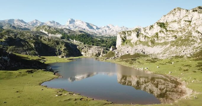 Aerial view of Mountain lakes and beautiful landscape, Lakes of Covadonga, Peaks of Europe. High quality 4k footage