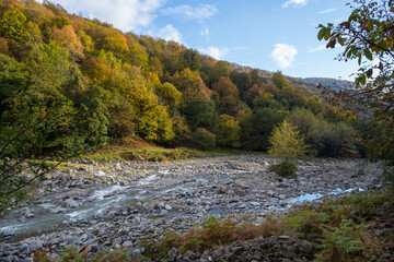 Mountain river on a sunny morning. Beautiful nature in the mountains.