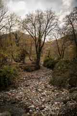 Amazing view with colorful autumn forest with asphalt mountain road at sunset.
