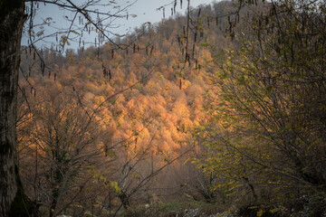 Amazing view with colorful autumn forest with asphalt mountain road at sunset.