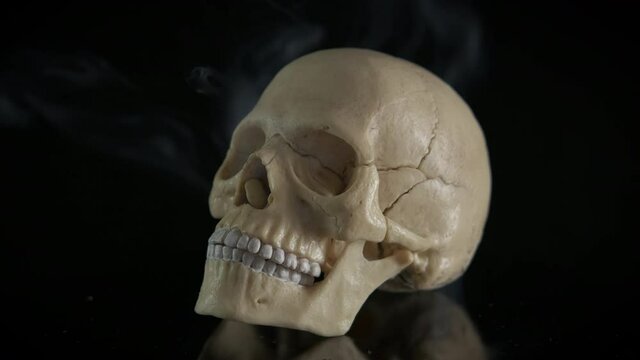 Human bone in steam. A view of a human skull in the cigarette fume on the black background.