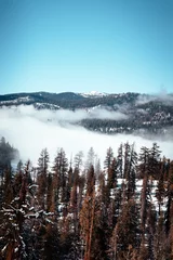 Photo sur Plexiglas Forêt dans le brouillard brouillard dans les montagnes