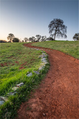 path in the field