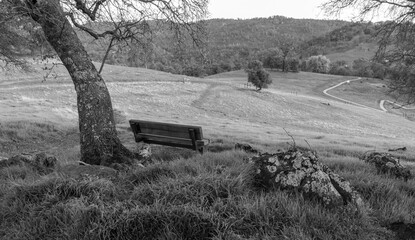bench in the field