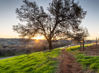 sunrise in the countryside
